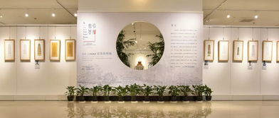 歷史文化與藝術的多元融合——上海思博職業技術學院中國傳統文化教育活動開放日掠影